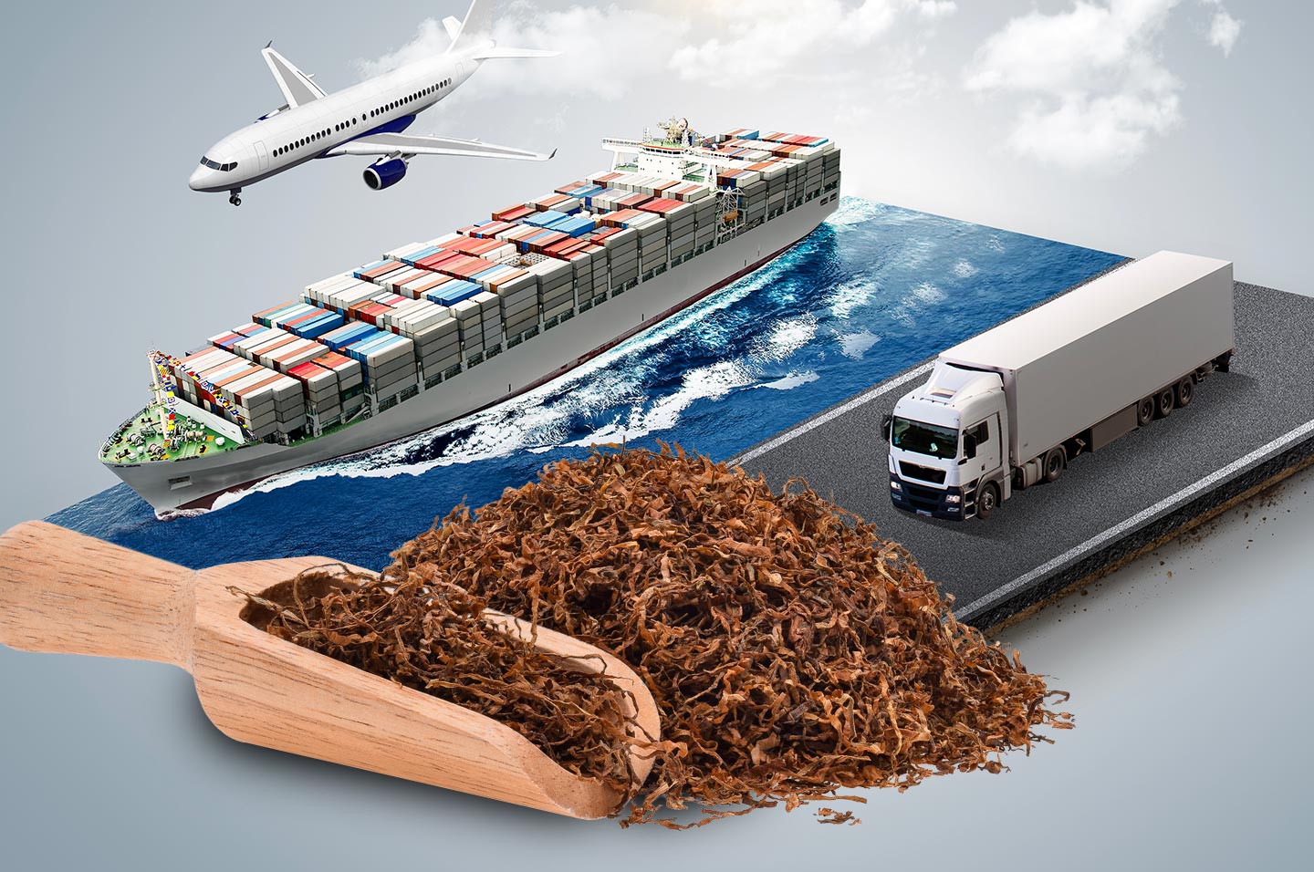 tobacco transport